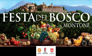 Festa del Bosco, Montone 1-4 november 2018