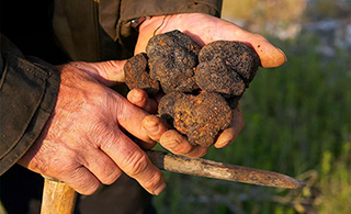How to Make the Most of Europe's Winter Truffle Season